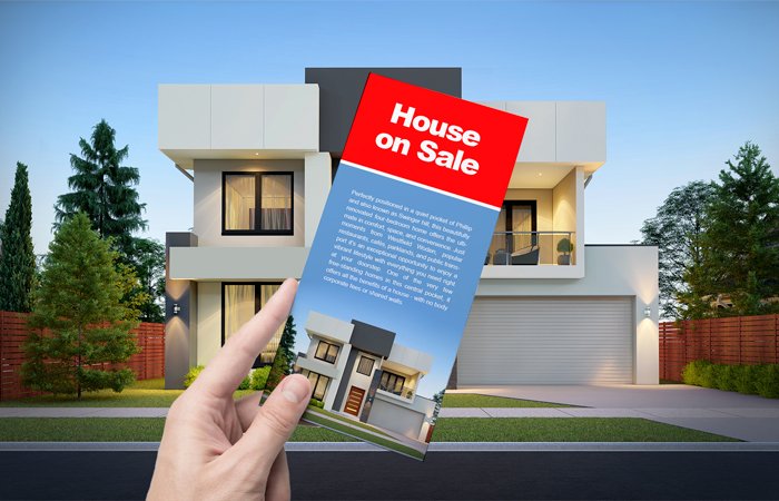 Folded Brochure with DL Cards