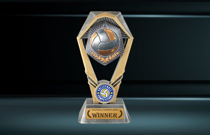Hex Tower Volleyball Trophy
