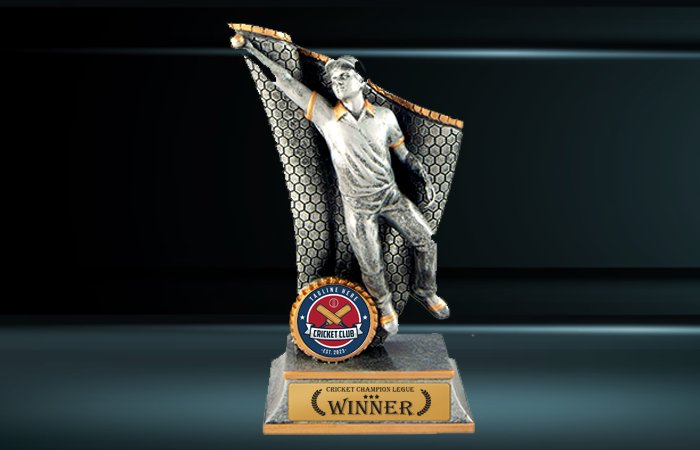 Wave Fielder Cricket Trophy (Male/Female)